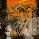 苏州旅游 缩略图 8