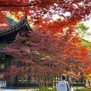 苏州旅游 缩略图 6