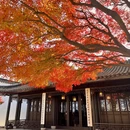 苏州旅游 缩略图 2