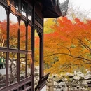 苏州旅游 缩略图 11