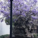 苏州旅游 缩略图 5