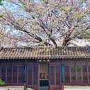 苏州旅游 缩略图 11