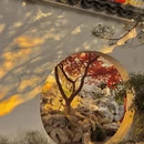苏州旅游 缩略图 1
