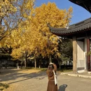 苏州旅游 缩略图 9