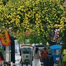 苏州旅游 缩略图 4