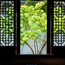 苏州旅游 缩略图 10