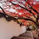 苏州旅游 缩略图 17