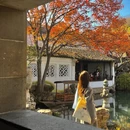 苏州旅游 缩略图 5
