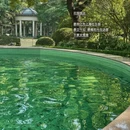 上海旅游 缩略图 3