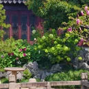 苏州旅游 缩略图 17