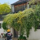 苏州旅游 缩略图 15