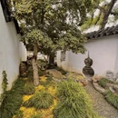 苏州旅游 缩略图 10