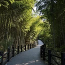 苏州旅游 缩略图 6