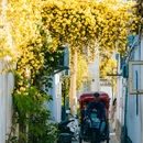 苏州旅游 缩略图 8