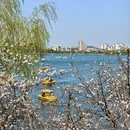 南京旅游 缩略图 2