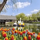 南京旅游 缩略图 7