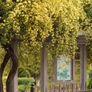 南京旅游 缩略图 10