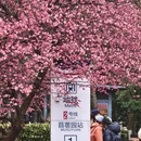 南京旅游 缩略图 6