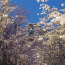 南京旅游 缩略图 5