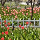 南京旅游 缩略图 14