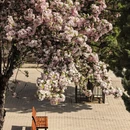 大连旅游 缩略图 2