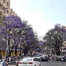 昆明旅游 缩略图 6
