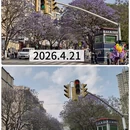 昆明旅游 缩略图 3