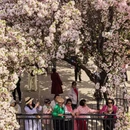 大连旅游 缩略图 9