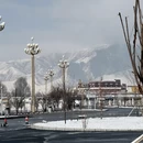 甘南旅游 缩略图 7