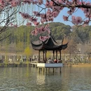 苏州旅游 缩略图 9