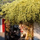 苏州旅游 缩略图 11