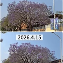 昆明旅游 缩略图 2