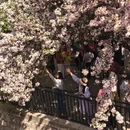 大连旅游 缩略图 6