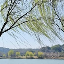 苏州旅游 缩略图 7