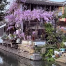 苏州旅游 缩略图 16