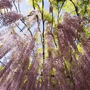 北京旅游 缩略图 3