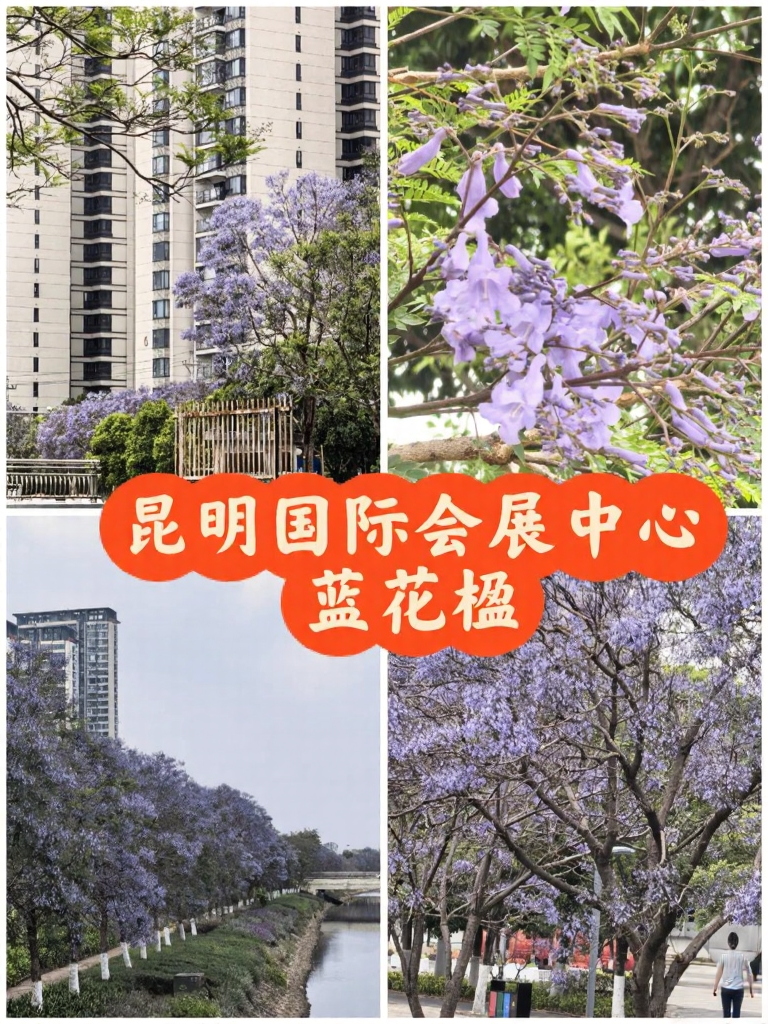 昆明旅游