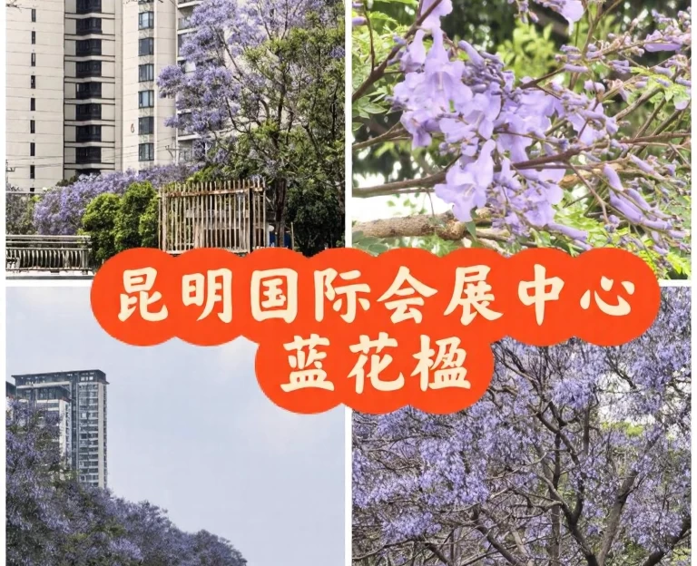 昆明旅游 1