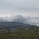 伊犁旅游 缩略图 2