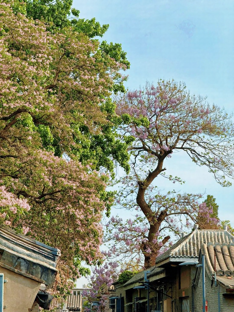 北京旅游