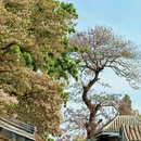 北京旅游 缩略图 1