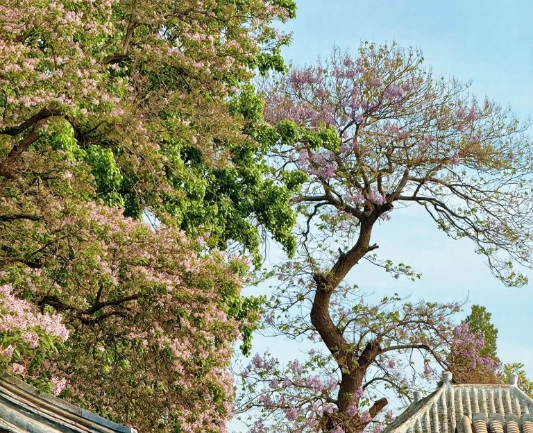 北京旅游 1