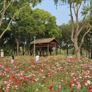 苏州旅游 缩略图 10