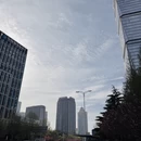 青岛旅游 缩略图 4