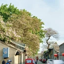 北京旅游 缩略图 6