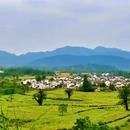 黄山旅游 缩略图 7