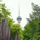 北京旅游 缩略图 15