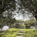 黄山旅游 缩略图 13