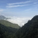 萍乡旅游 缩略图 14