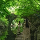 杭州旅游 缩略图 10